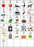 English Alphabet Posters and Charts Set
